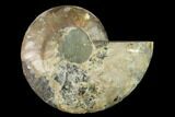 Agatized Ammonite Fossil (Half) - Madagascar #139663-1